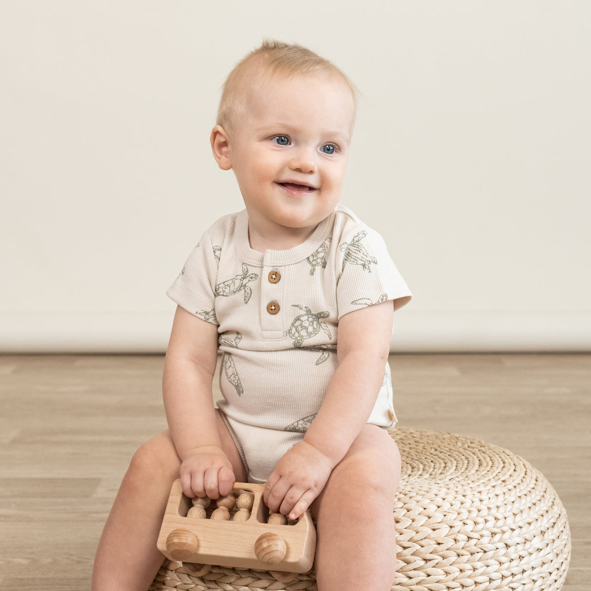 Organic Short Sleeve Romper & Pants Set - Turtles - HoneyBug