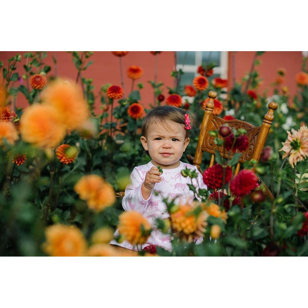 Pink Cheetah Swing Dress - HoneyBug