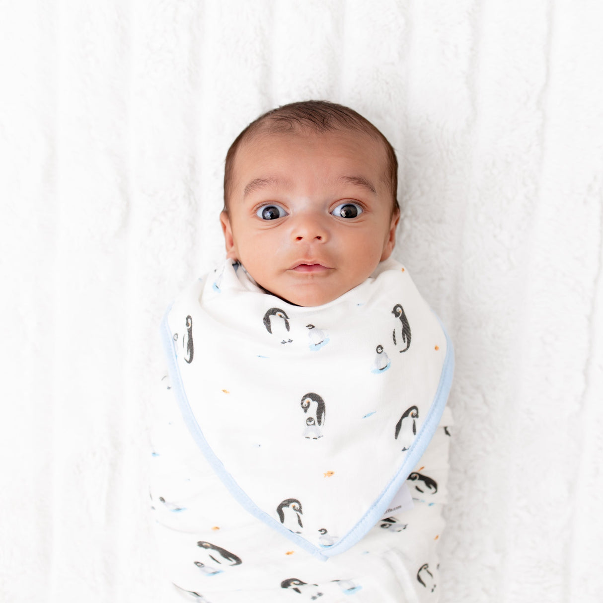 Penguin Bib Set - HoneyBug