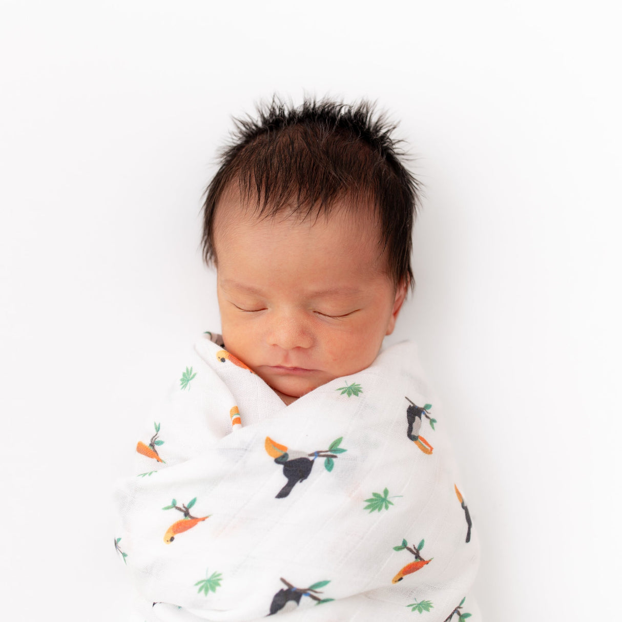 Toucan Swaddle - HoneyBug