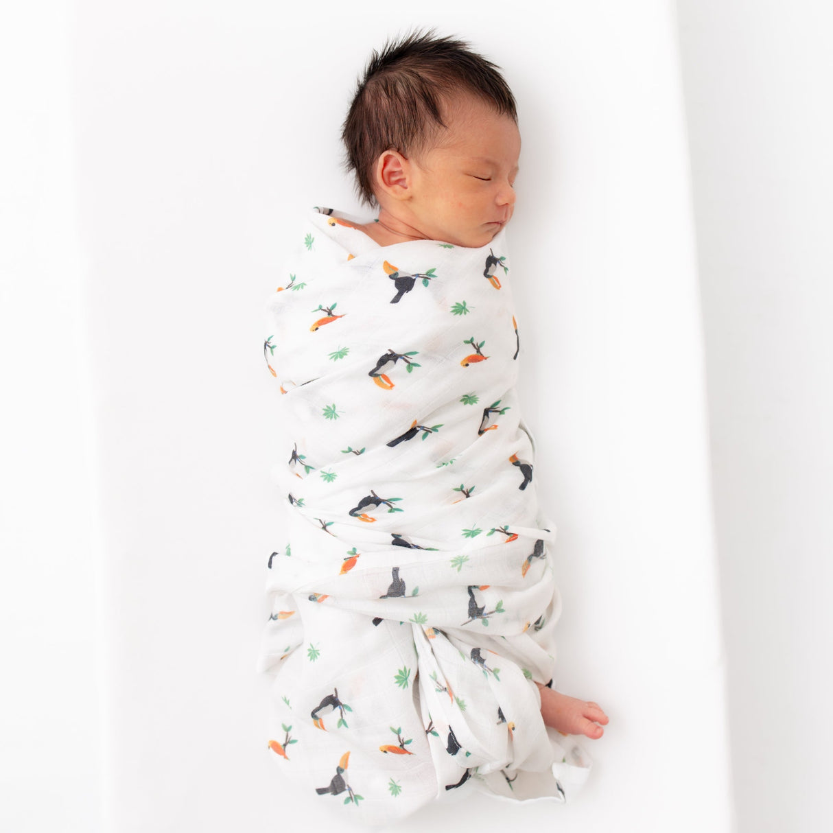 Toucan Swaddle - HoneyBug