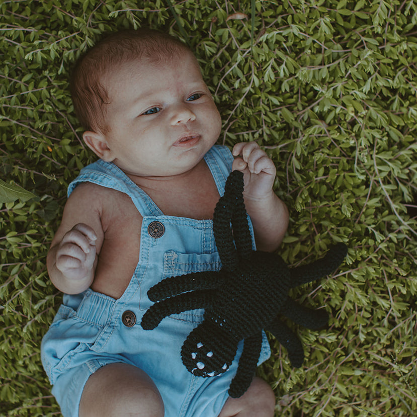 Spider Rattle - Black - HoneyBug