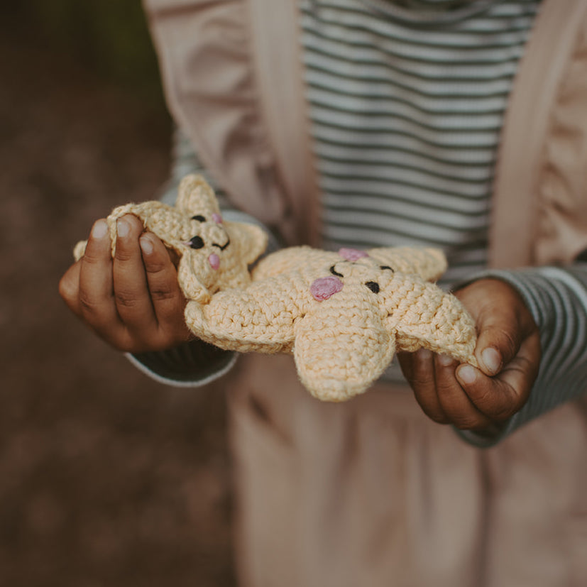 Star Holiday Ornament - HoneyBug