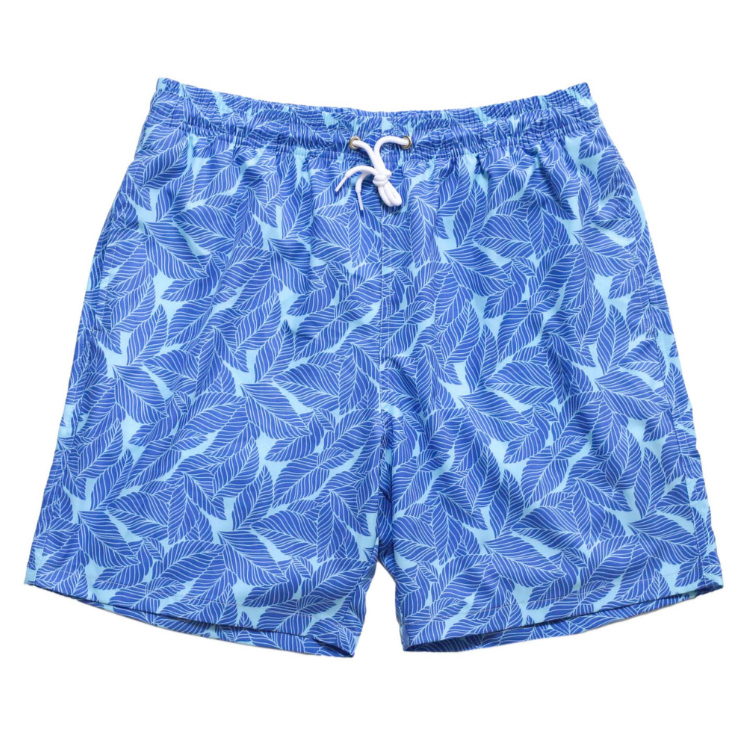 Coconut Cottage Men's Trunks - HoneyBug