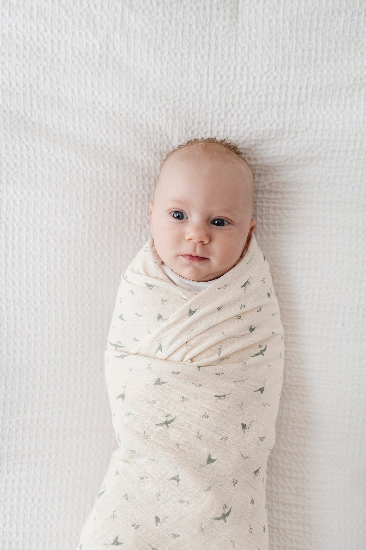 Cotton Muslin Swaddle Blanket - Sage Bird - HoneyBug