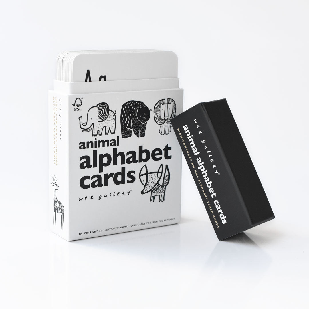 Alphabet Adventure Bundle - HoneyBug