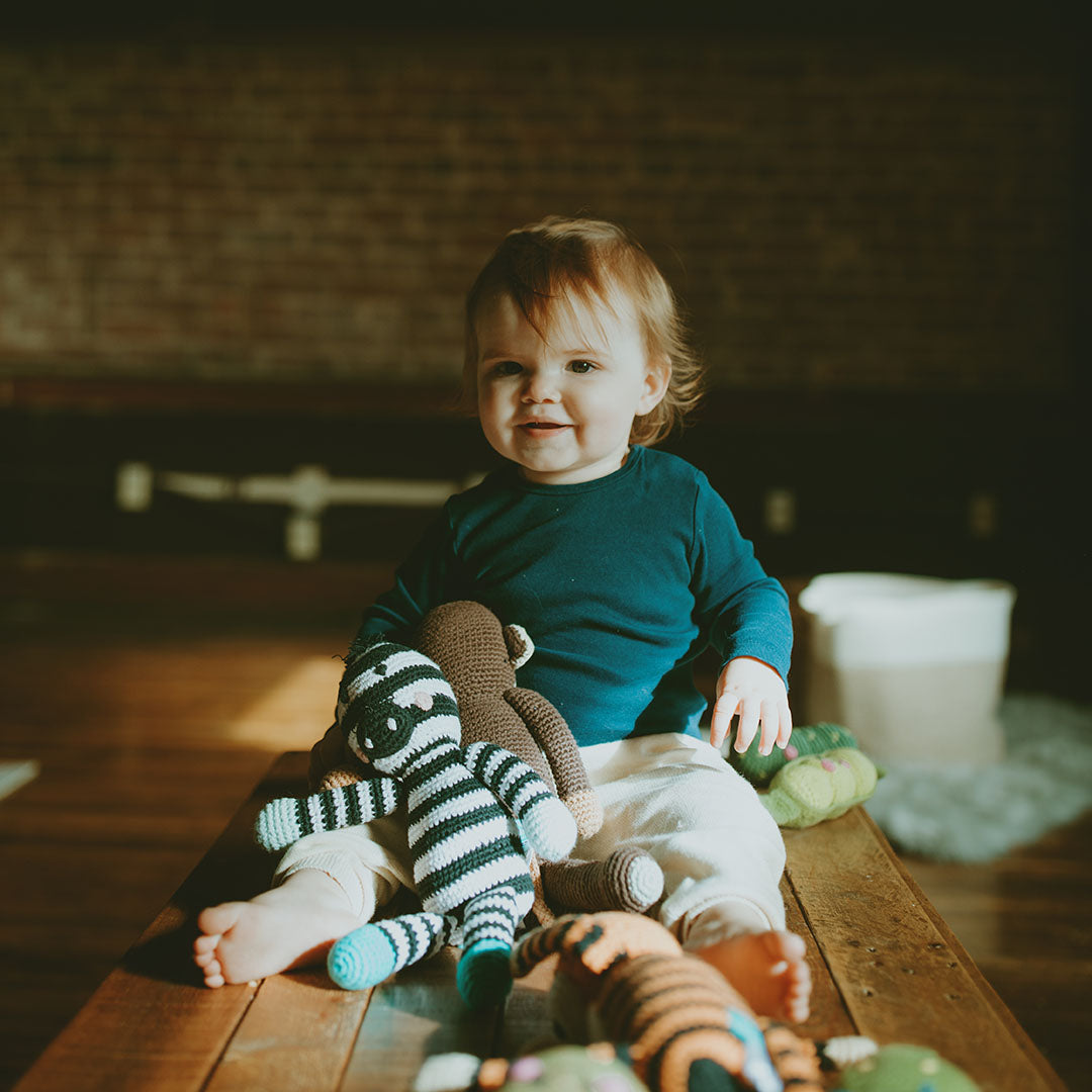 Zebra Rattle - HoneyBug