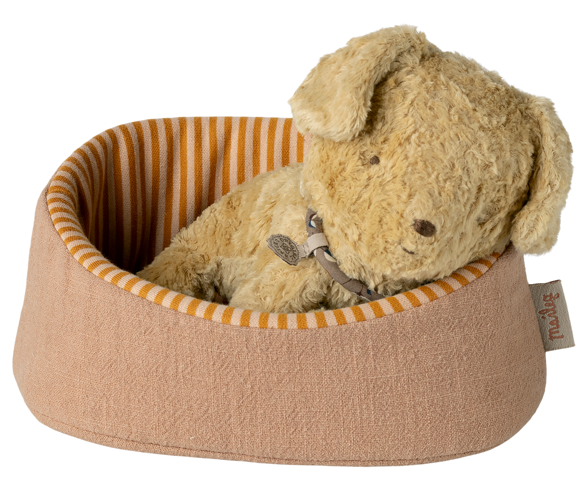 Pet Basket - Powder