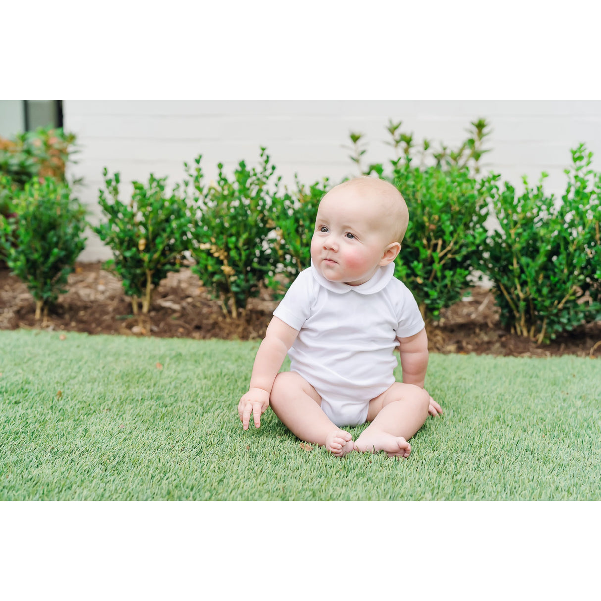 Carter Pima Cotton Short Sleeved Onesie - HoneyBug