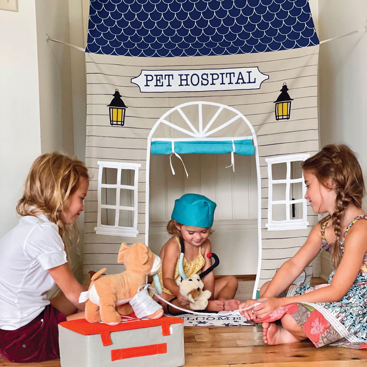 Pet Hospital Doorway Storefront with Vet's Kit