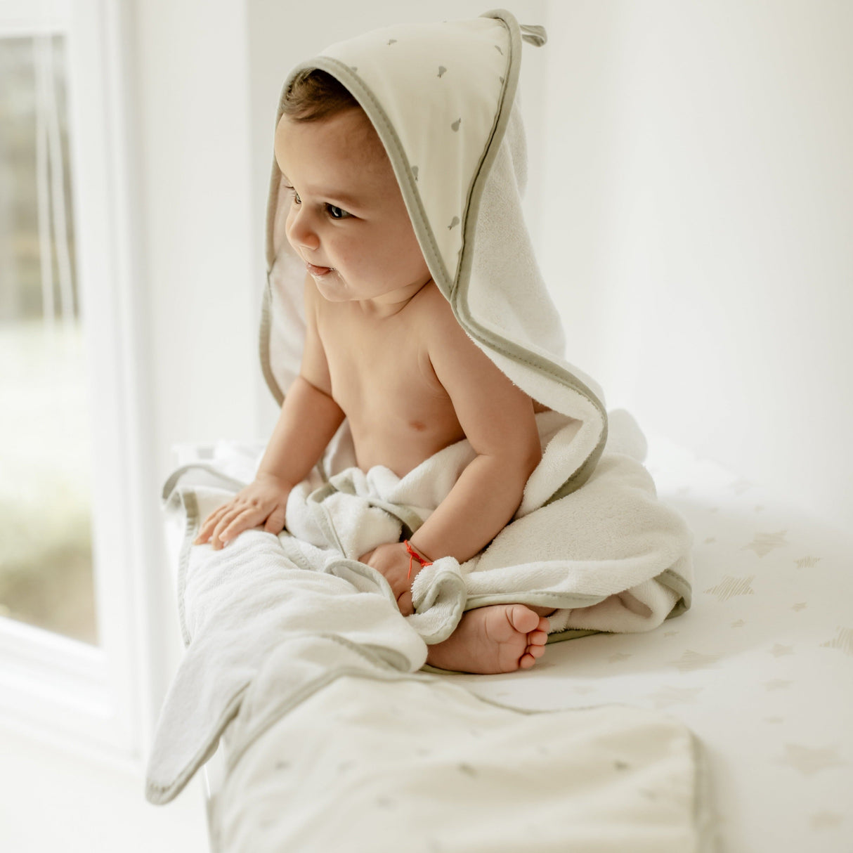 3 Pack Washcloth Set - Sage Pear - HoneyBug