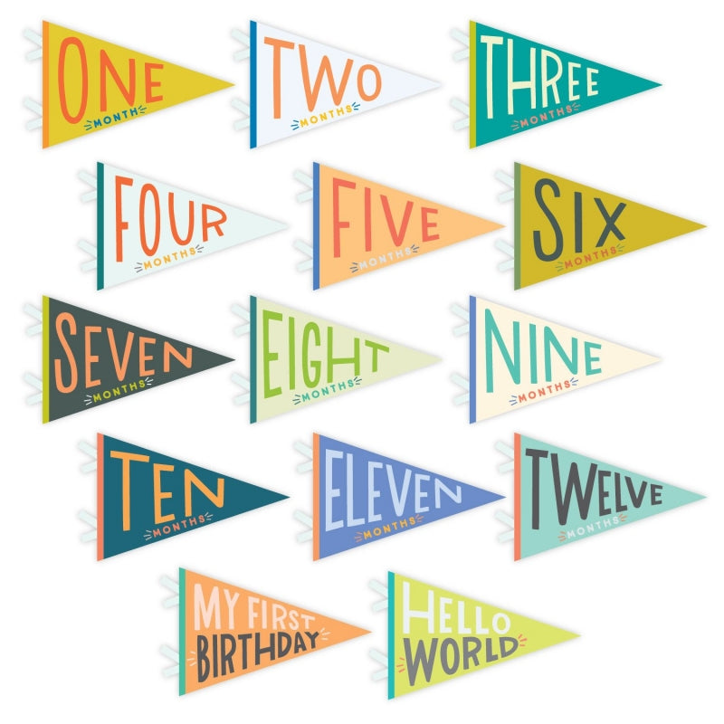 Little Kaleidoscope Petit Milestone Pennants - HoneyBug
