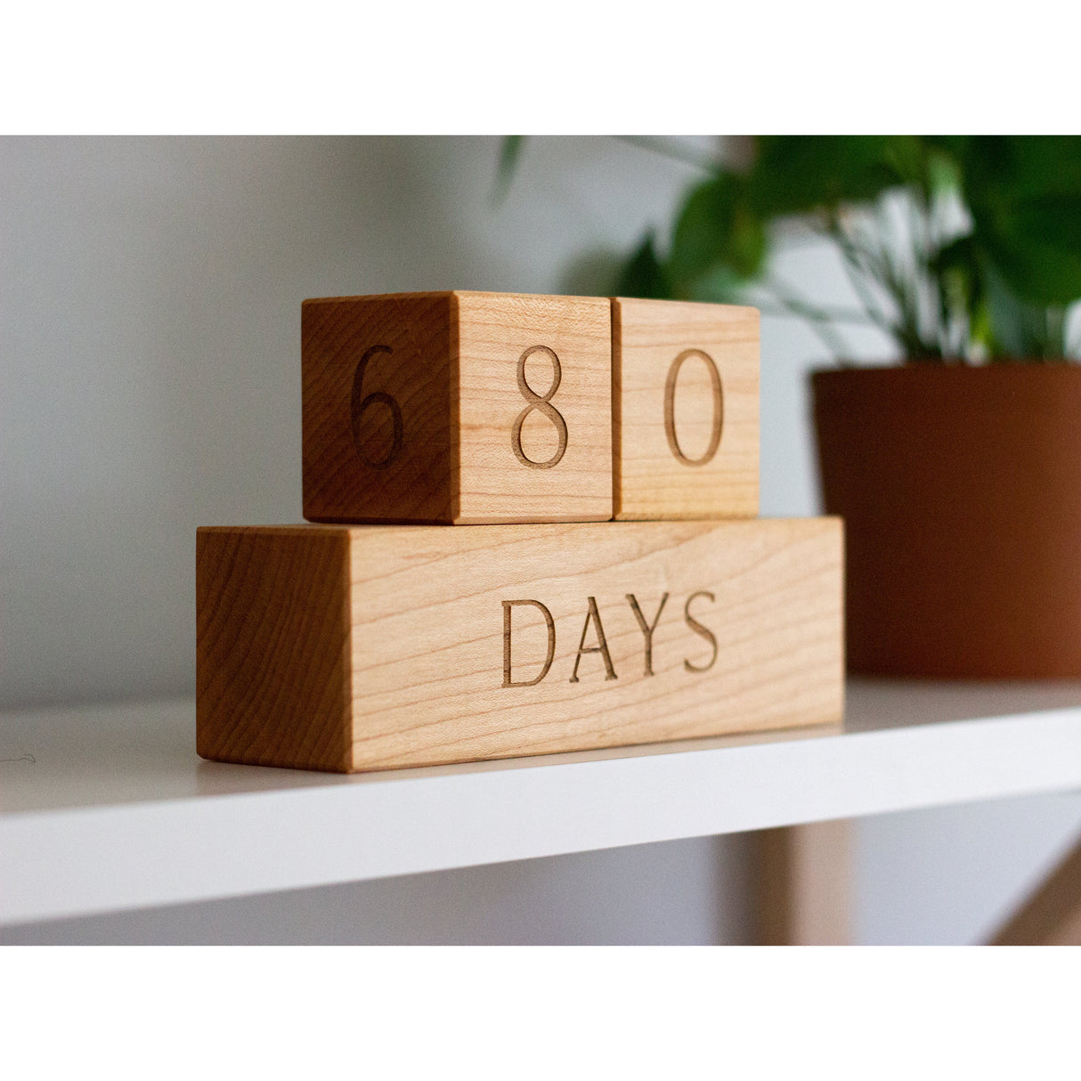 Modern Wooden Milestone Blocks - HoneyBug