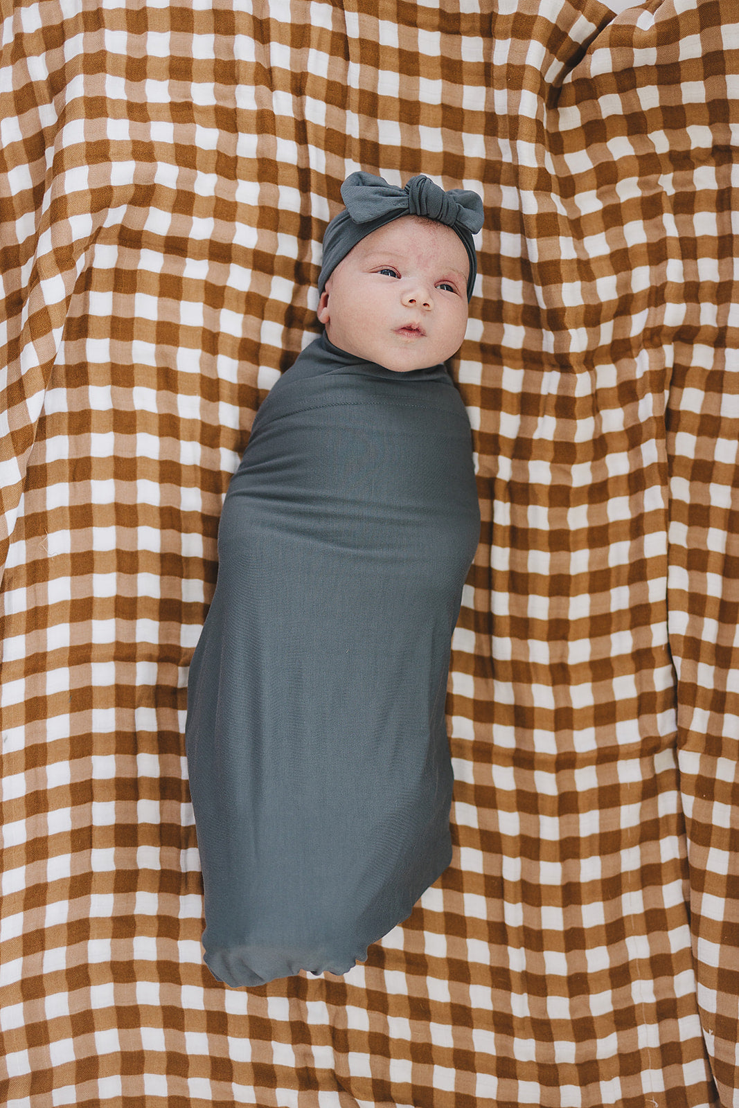 Gingham Muslin Quilt - HoneyBug
