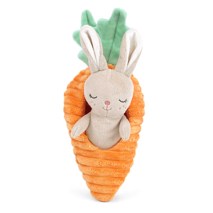 Bunny in Carrot Activity Toy