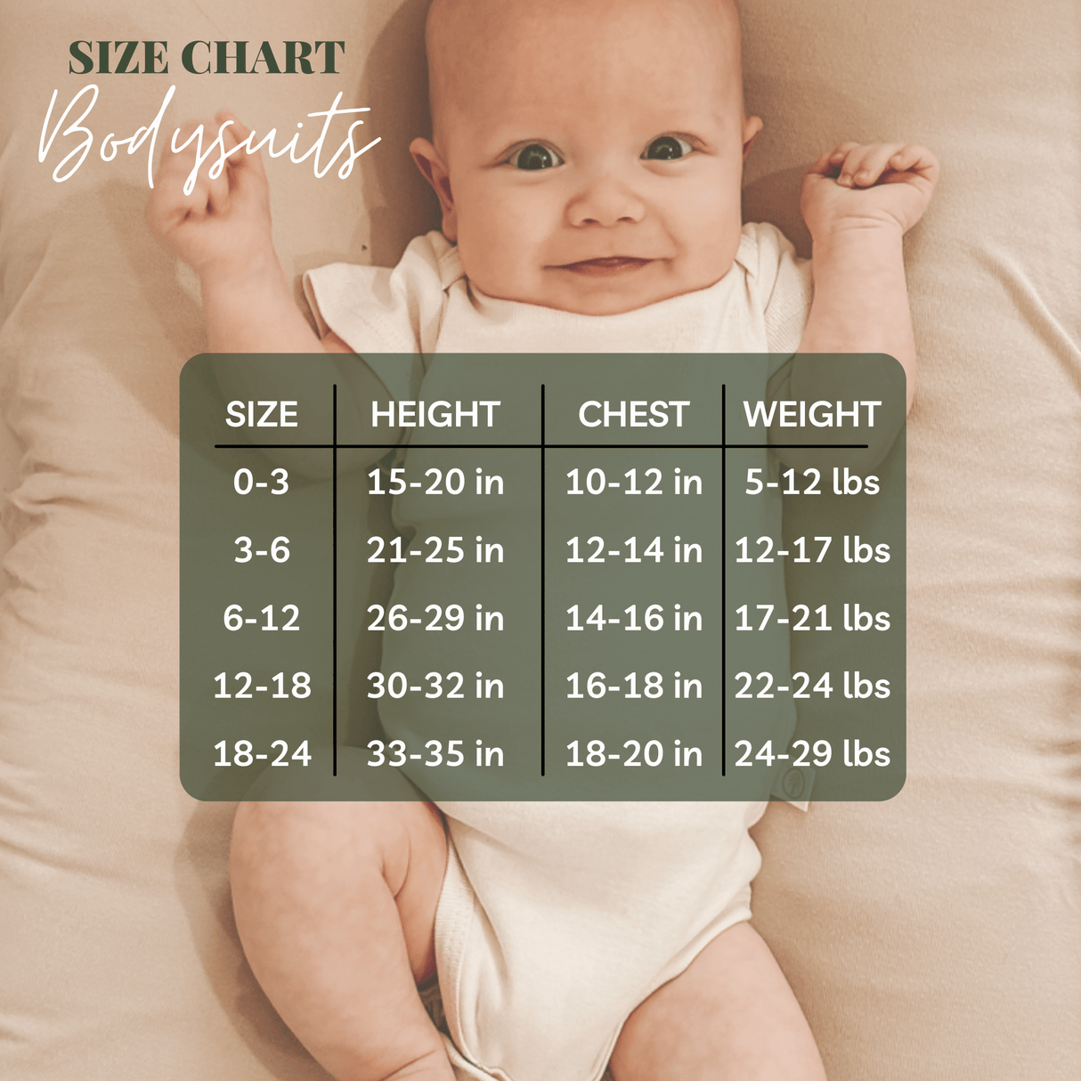 Big Brother Clay Organic Cotton Short Sleeve Baby Bodysuit