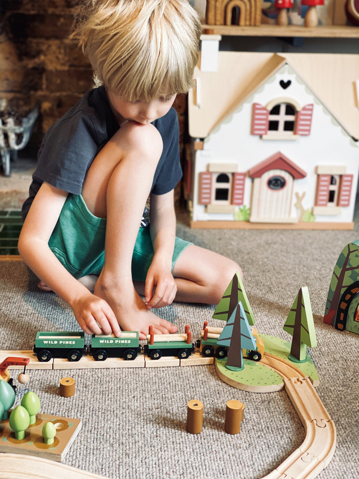 Wild Pines Train Set - HoneyBug