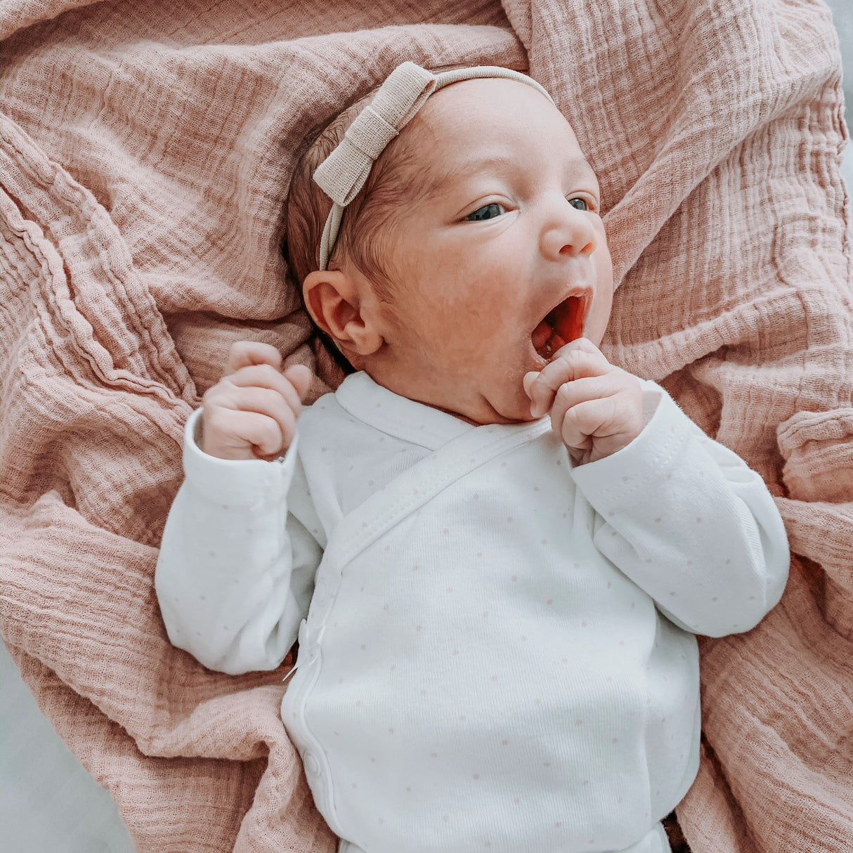 2 Pack Cotton Muslin Swaddle Blanket - Rosewater & Cranberry - HoneyBug