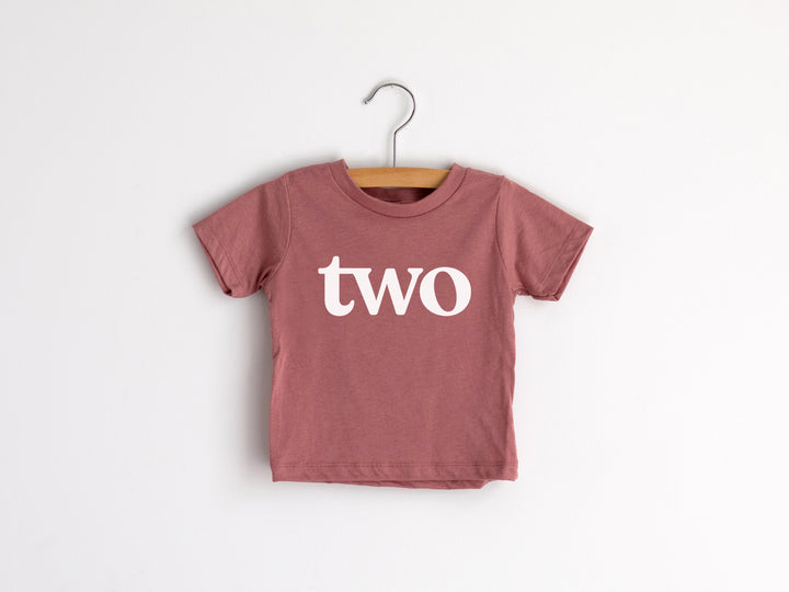 Two Modern Birthday Shirt Organic Kids Tee - HoneyBug