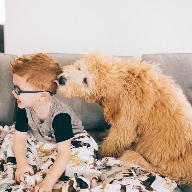 Cotton Muslin Quilted Throw - Woof - HoneyBug