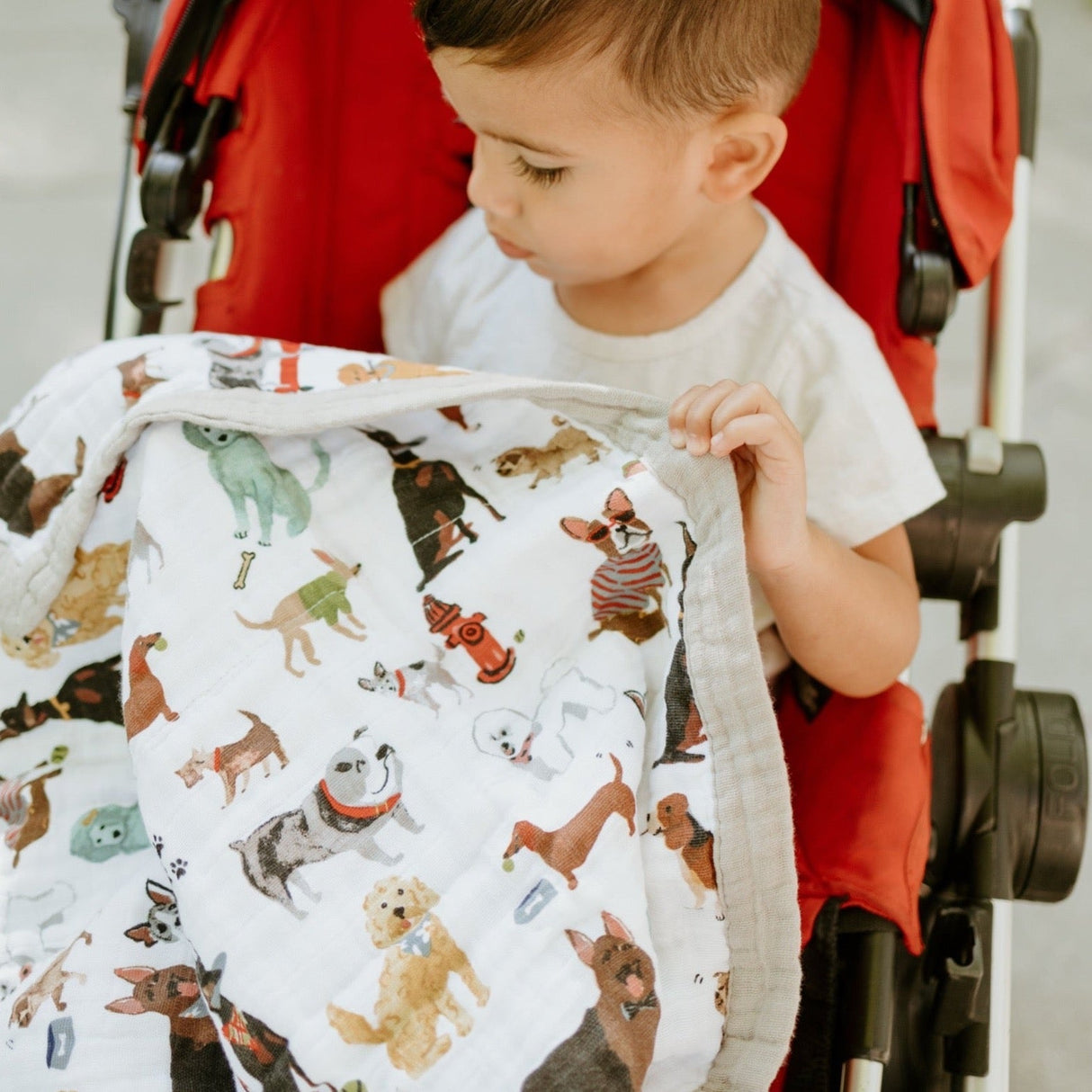 Cotton Muslin Baby Quilt - Woof - HoneyBug