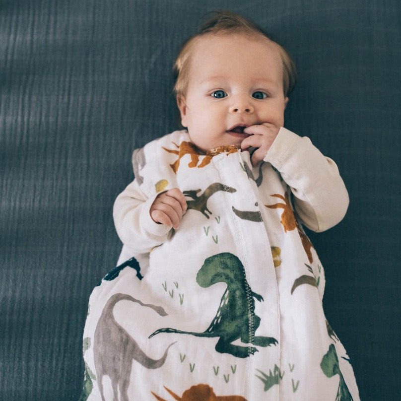 Cotton Muslin Sleep Bag - Dino Friends - HoneyBug