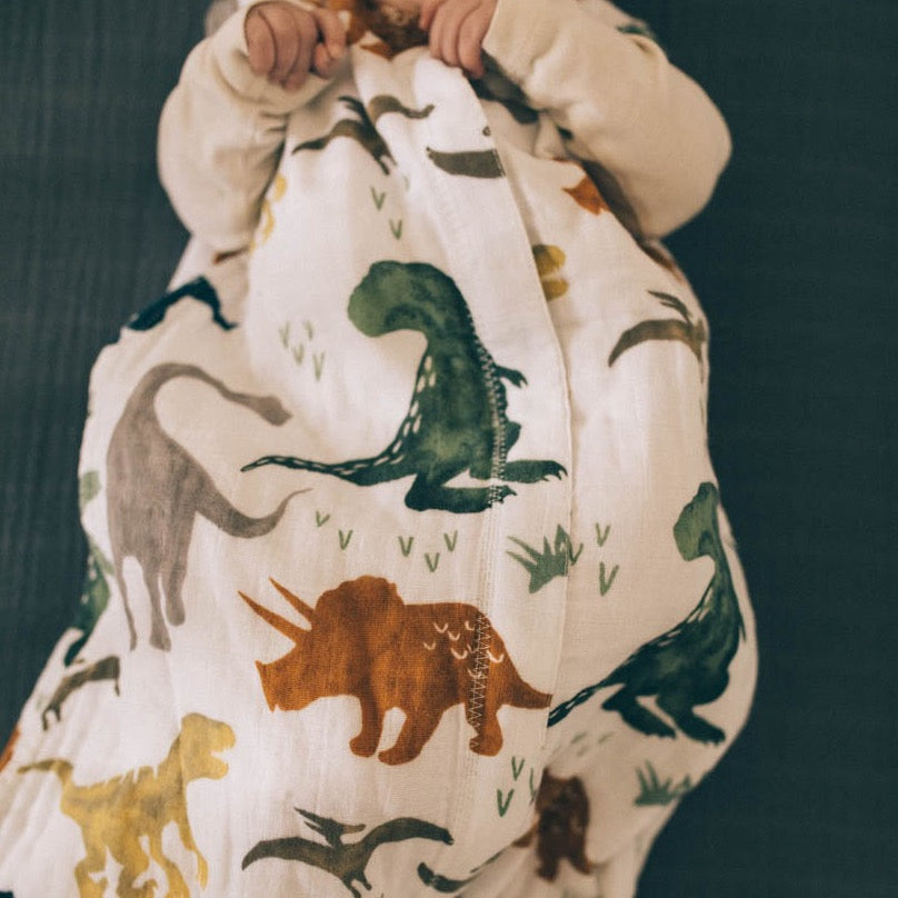 Cotton Muslin Sleep Bag - Dino Friends - HoneyBug