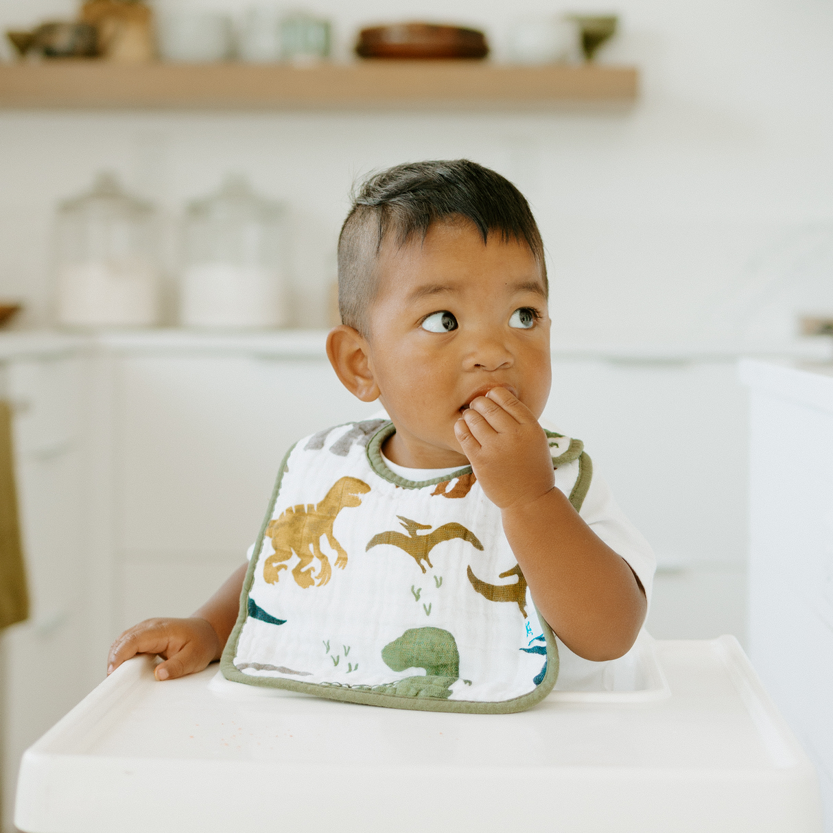 Cotton Muslin Classic Bib 3 Pack - Dino Friends - HoneyBug