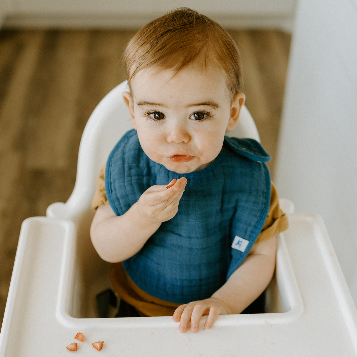 Cotton Muslin Classic Bib 3 Pack - Dino Friends - HoneyBug