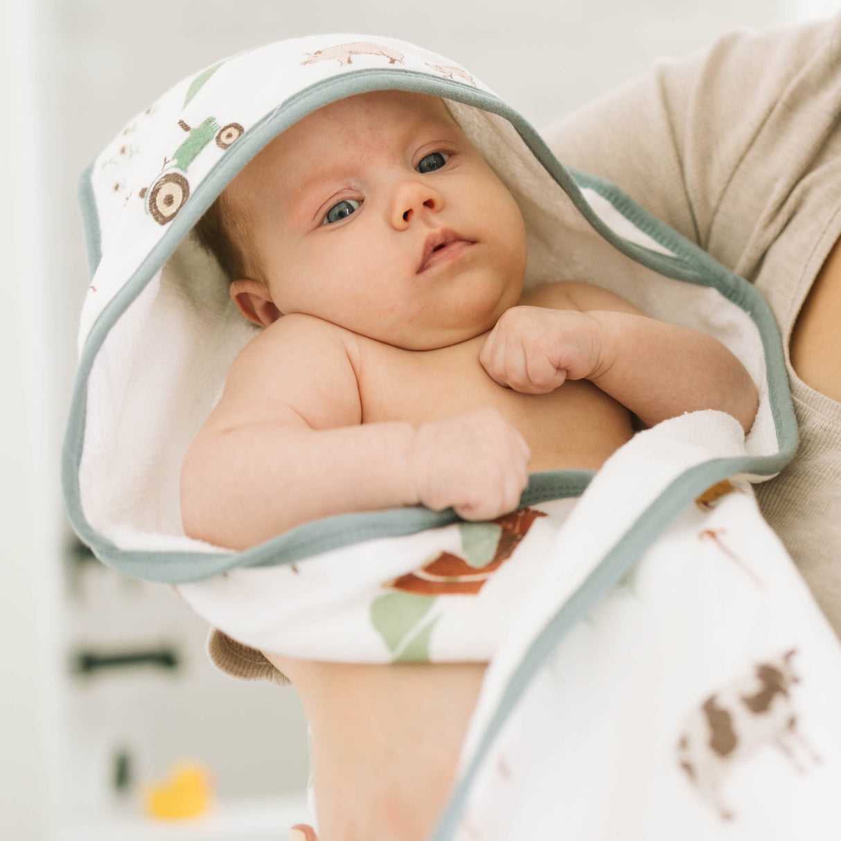 Infant Hooded Towel - Farmyard - HoneyBug