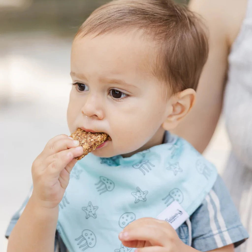 Sealife Wonder Bandana Bibs Collection