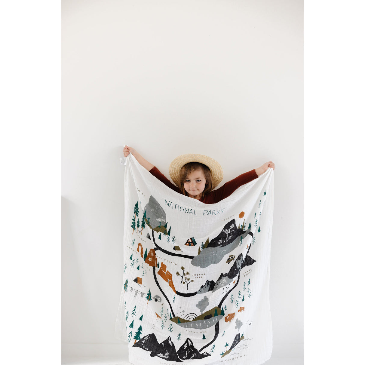 National Parks Swaddle - HoneyBug
