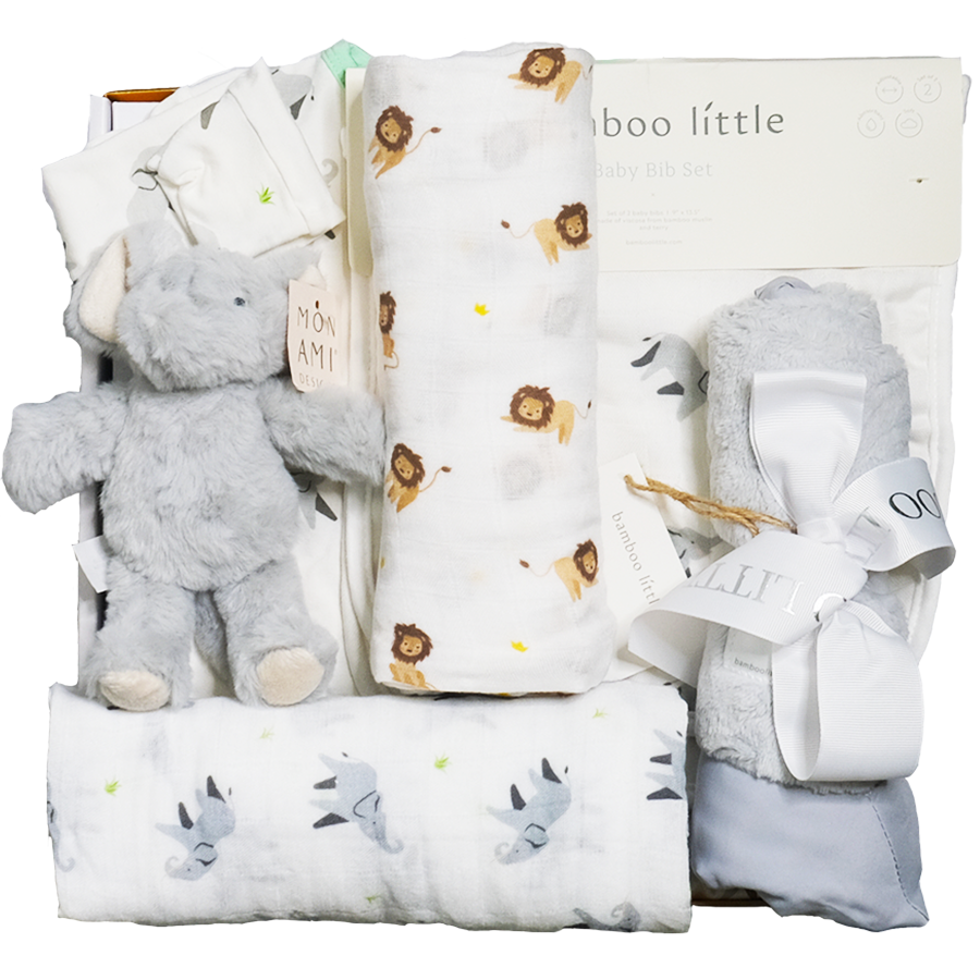 Safari Baby Gift Box - HoneyBug