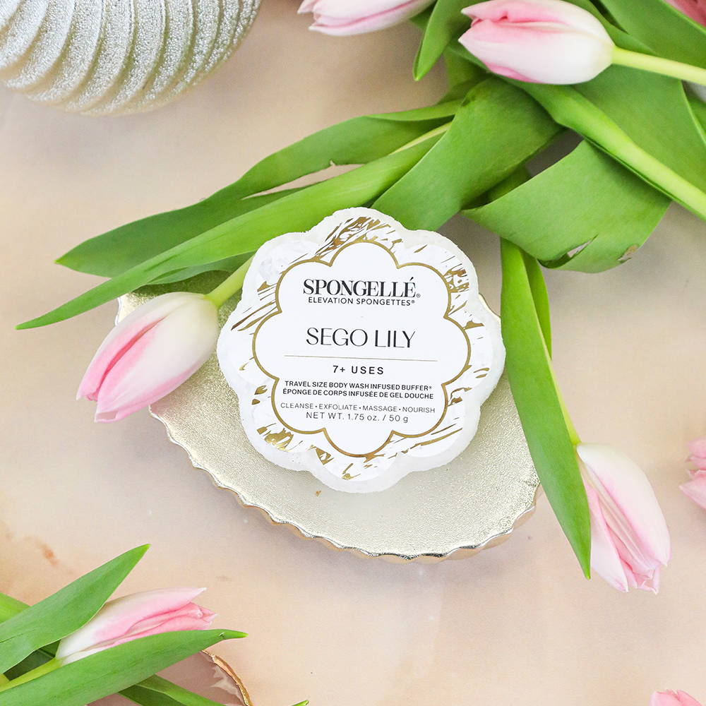 Sego Lily | Elevation Spongette - HoneyBug