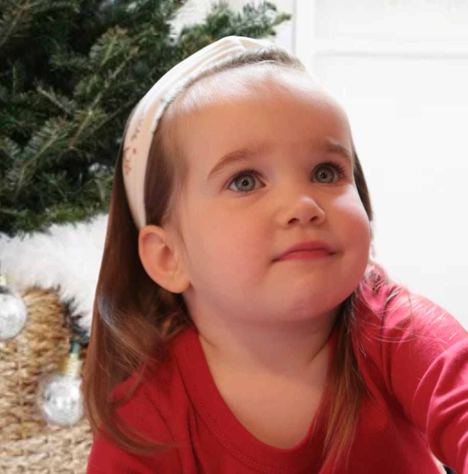 headband | mountain express - HoneyBug