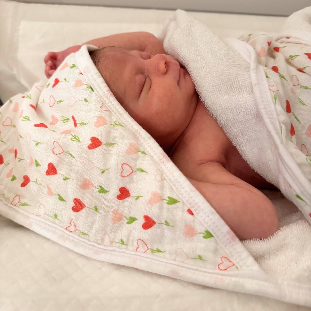 Hooded Towel - Busy Bees - HoneyBug