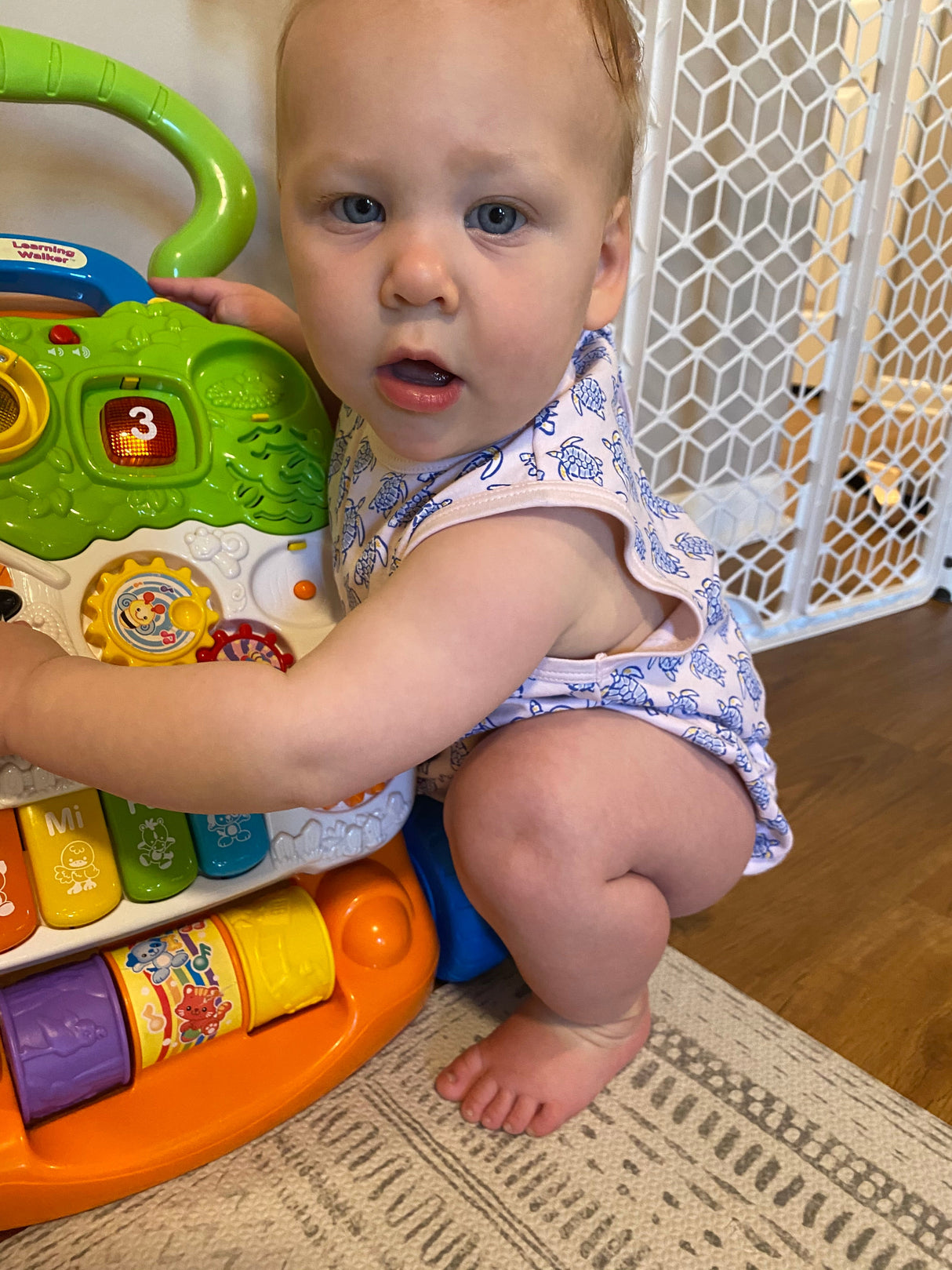 Pink Sea Turtle Bubble - HoneyBug