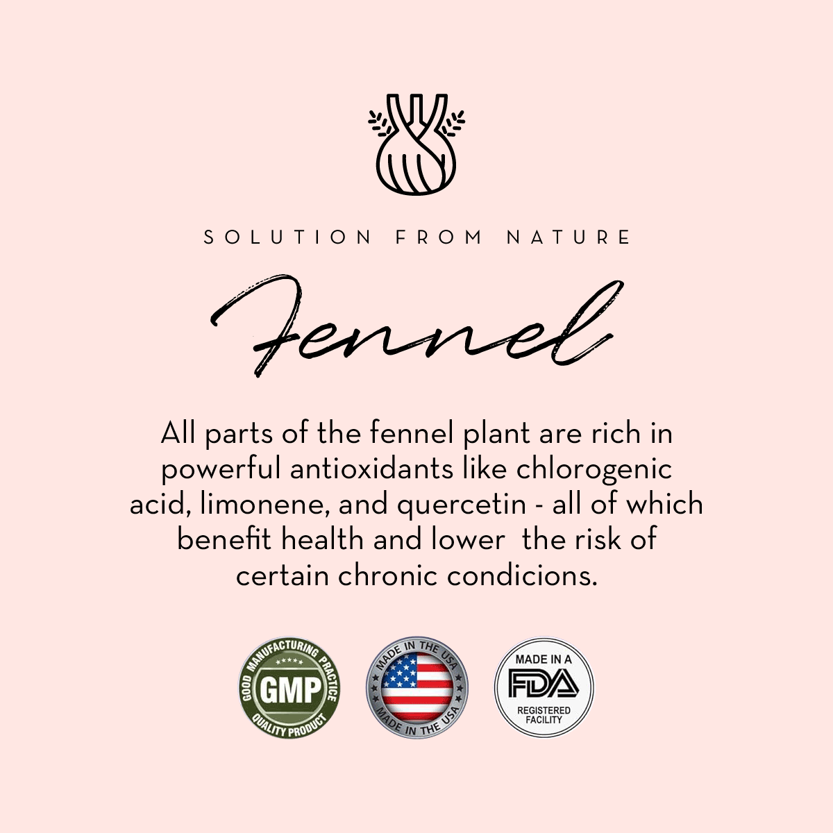 Lactation Support for Breastfeeding - HoneyBug