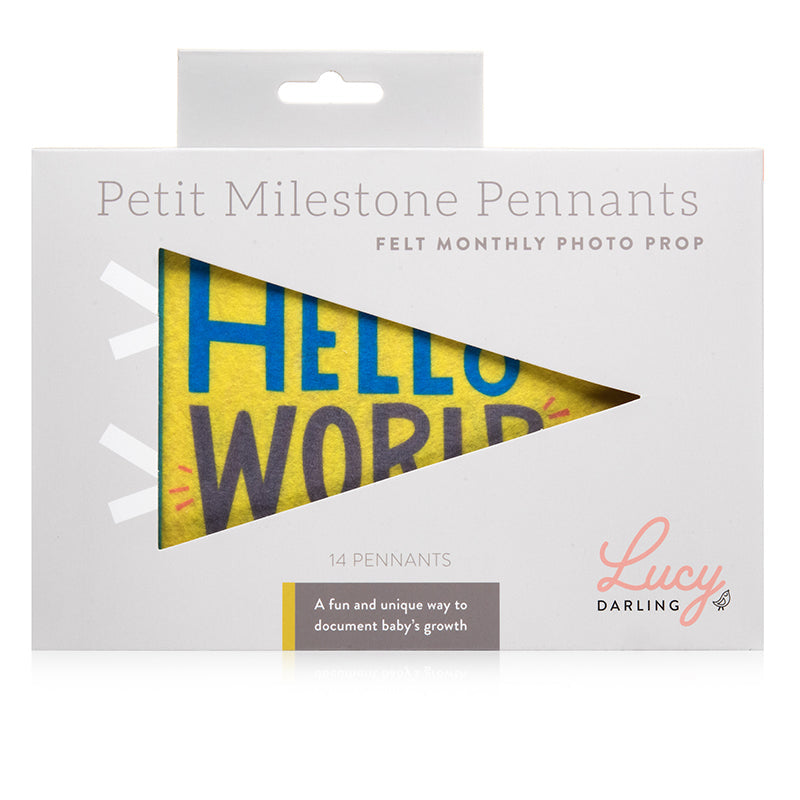 Little Kaleidoscope Petit Milestone Pennants - HoneyBug