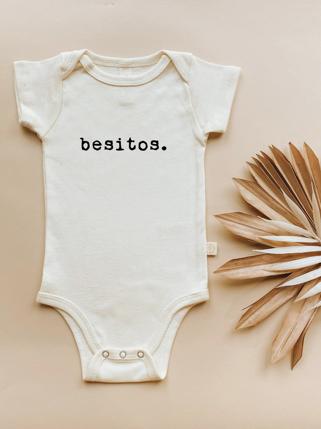 Organic Cotton Bodysuit - Besitos - HoneyBug