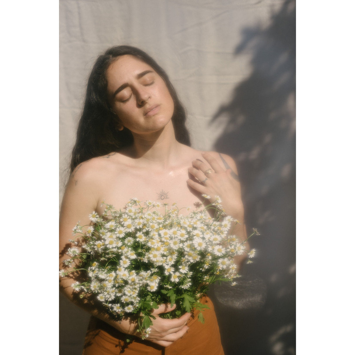 Illuminating Serums - HoneyBug