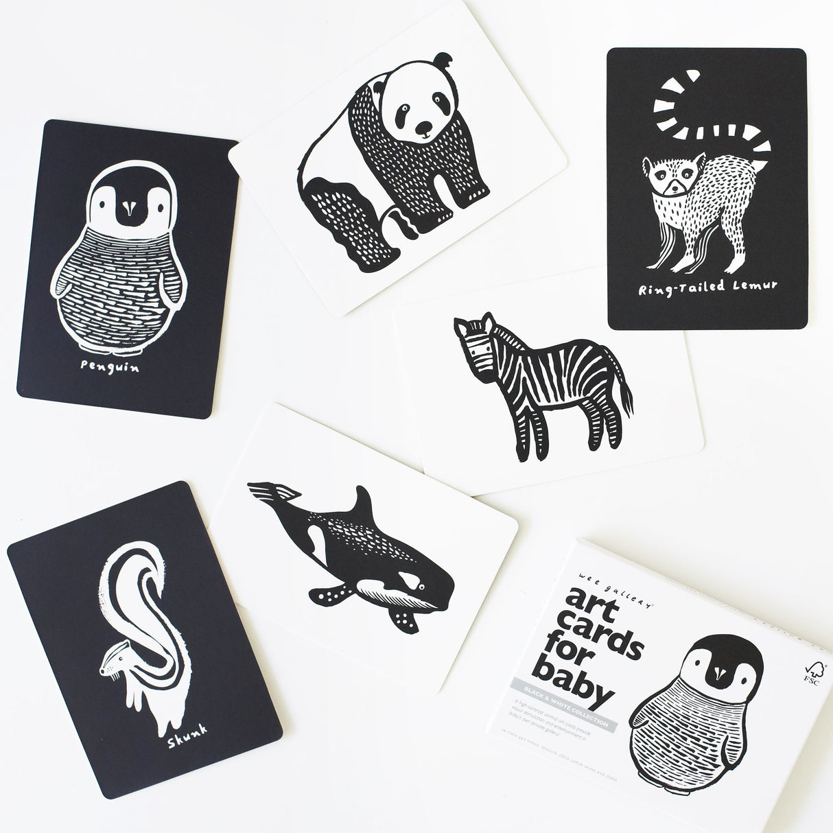 Art Cards for Baby - Black and White Collection - HoneyBug