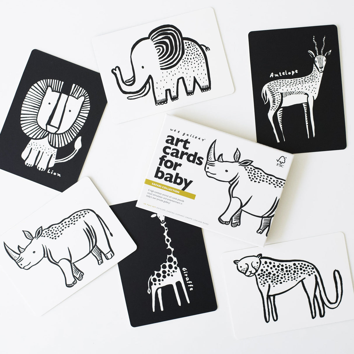 Art Cards for Baby - Safari Collection - HoneyBug