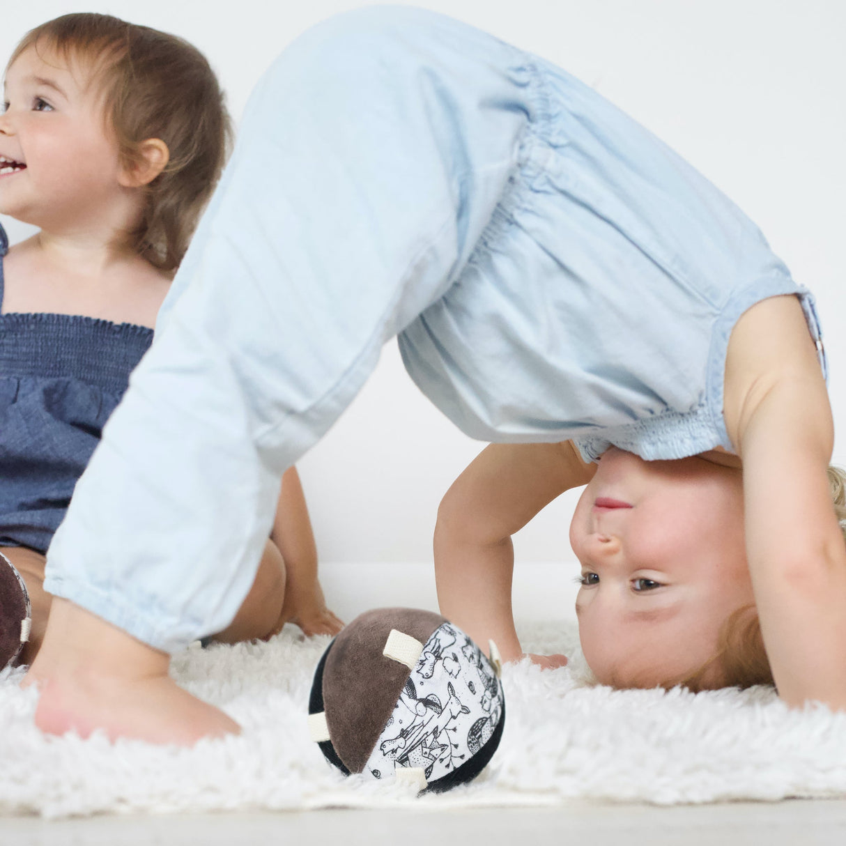 Taggy Ball with Rattle - Woodland - HoneyBug