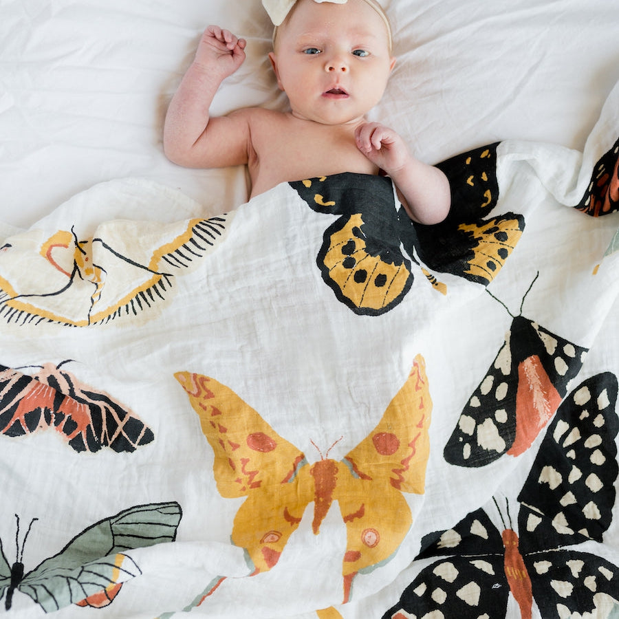 Butterfly Collector Swaddle - HoneyBug