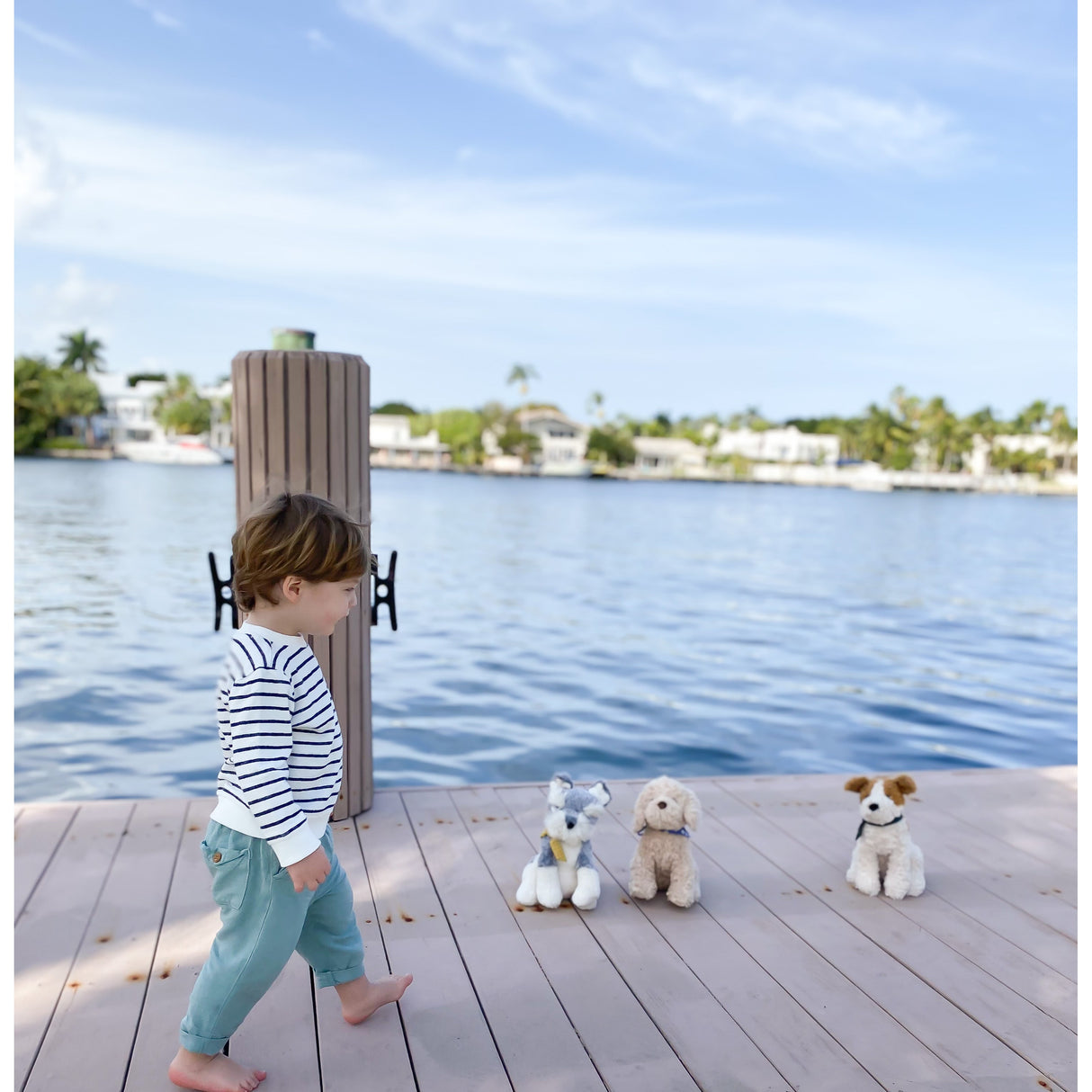 'Winston' The Schnauzer Puppy Plush Toy - HoneyBug