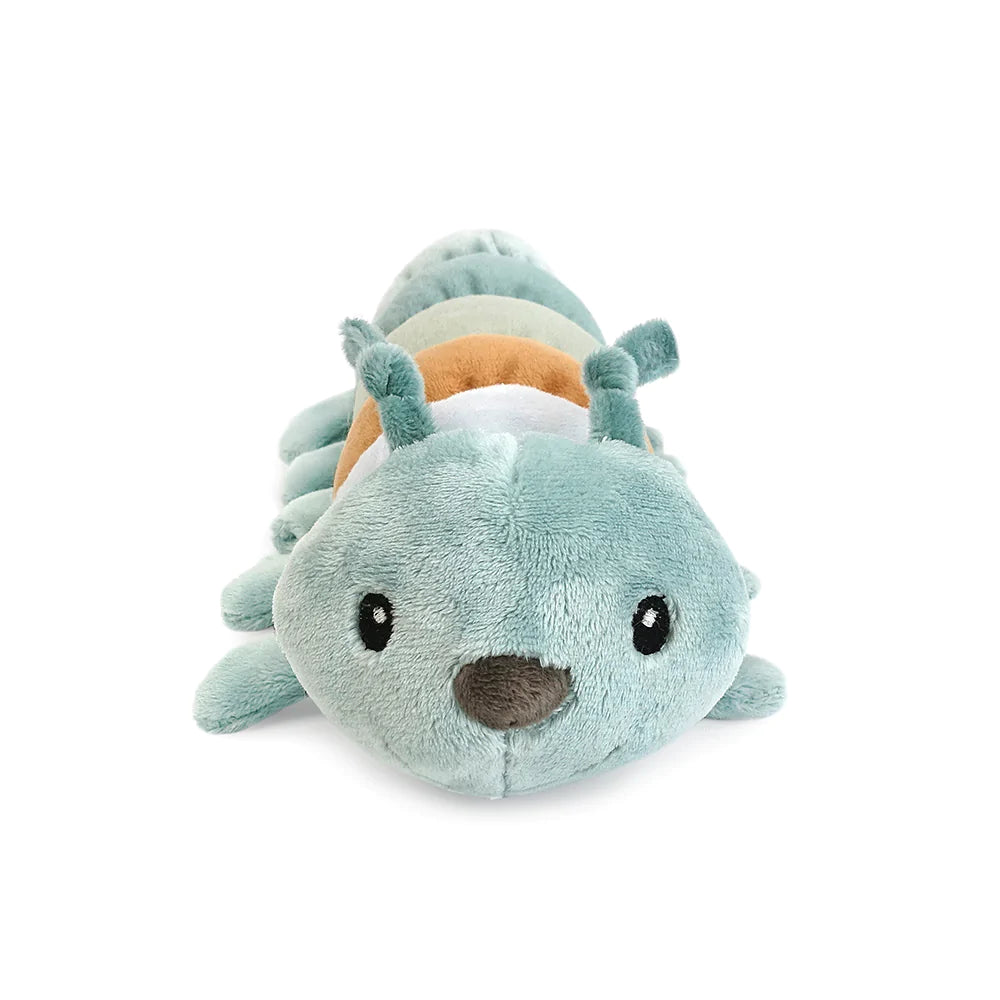 Twiggy Catepillar - HoneyBug