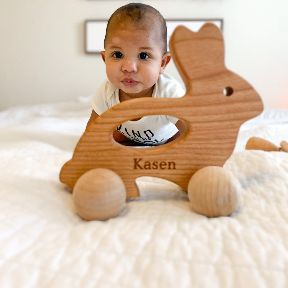 Bunny Push Toy - HoneyBug