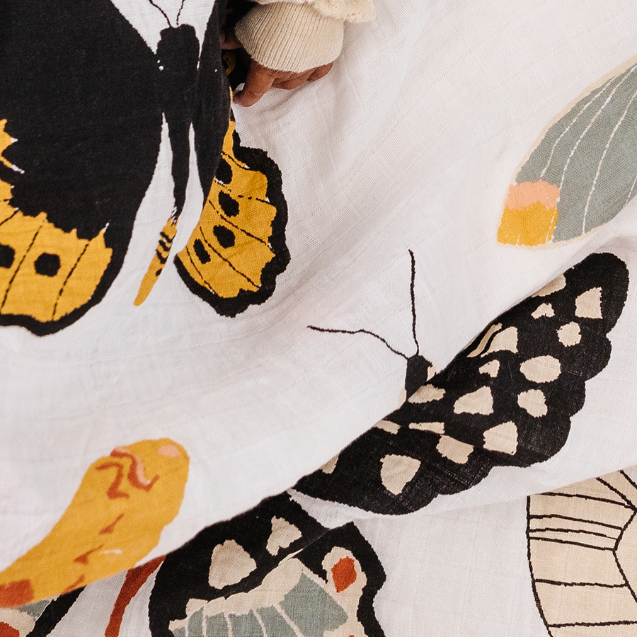 Butterfly Collector Swaddle - HoneyBug