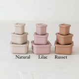 Silicone Bento Box Set/Set of 3